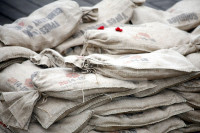 Sacred Soil Arrival Belgium Navy