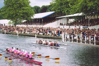 Rowing at Henley