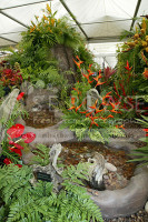 Grenada Exhibt Chelsea 2006