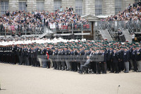 Royal Marines On Horseguards Falklands 25